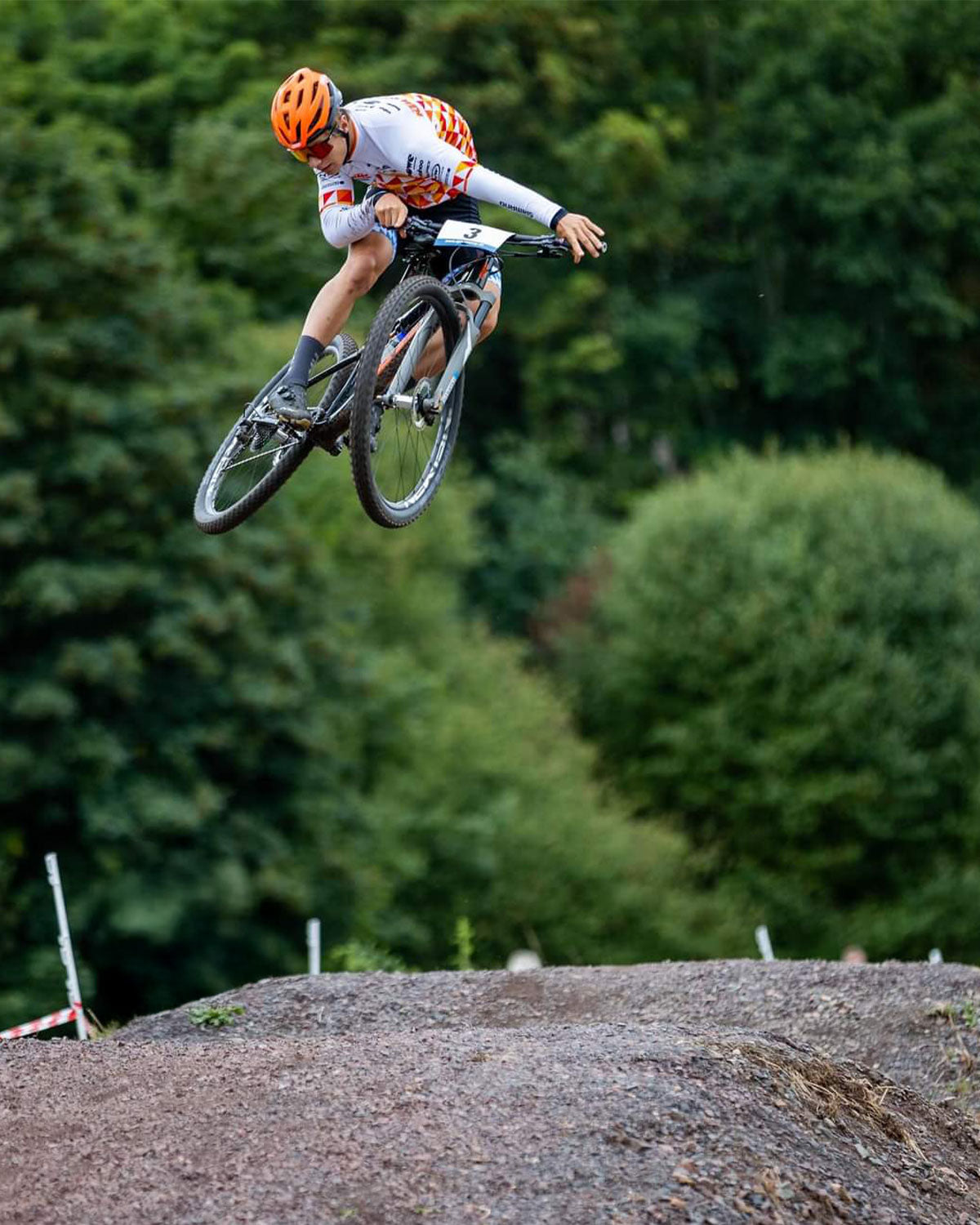 ProSeries Trikot - Langarm